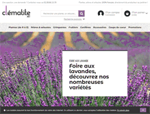 Tablet Screenshot of clematite.net